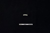 藏品(陶環)的圖片